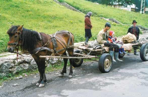 euro95.jpg