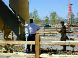 Click to see Dscn2079.jpg