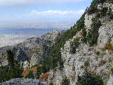 Click to see Dscn2099.jpg