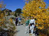 Click to see Dscn2101.jpg