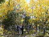 Click to see Dscn2104.jpg