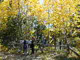 Click to see Dscn2105.jpg