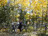 Click to see Dscn2106.jpg