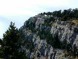 Click to see Dscn2113.jpg