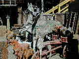 Click to see Dscn2171.jpg