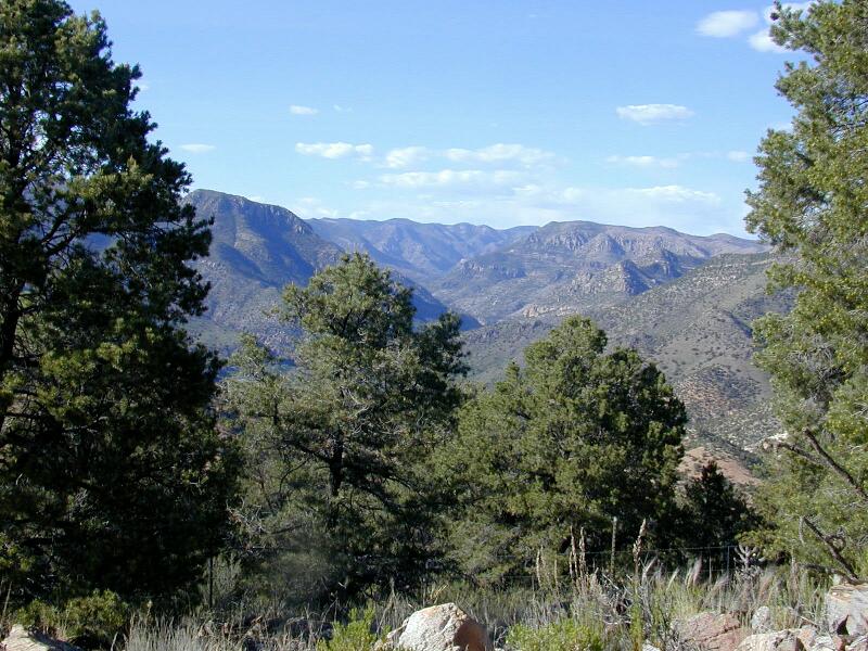 Turkey Creek Hot Springs 2005