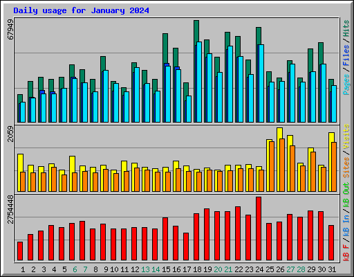 Daily usage for January 2024