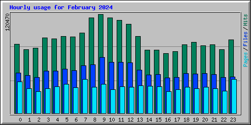 Hourly usage for February 2024