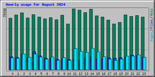 Hourly usage for August 2024