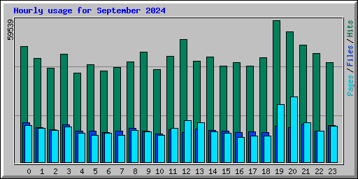 Hourly usage for September 2024