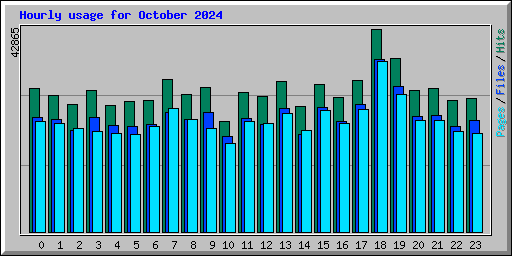 Hourly usage for October 2024