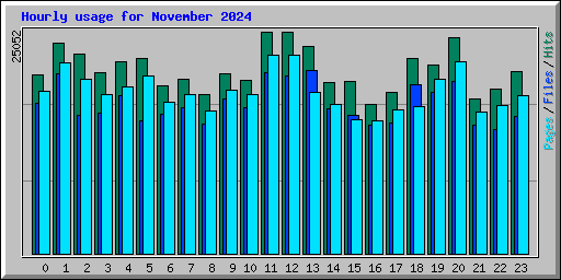 Hourly usage for November 2024