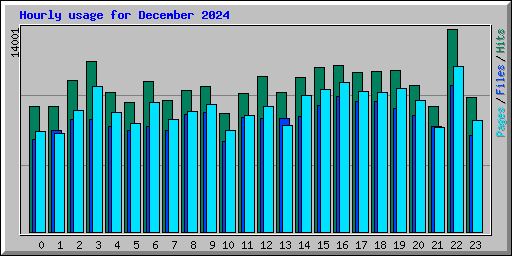 Hourly usage for December 2024