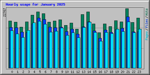 Hourly usage for January 2025