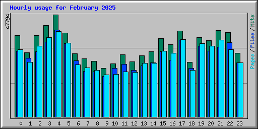 Hourly usage for February 2025