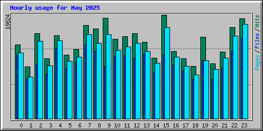 Hourly usage for May 2025