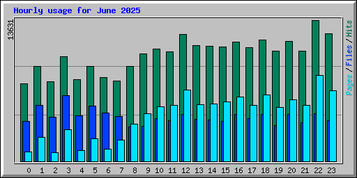 Hourly usage for June 2025