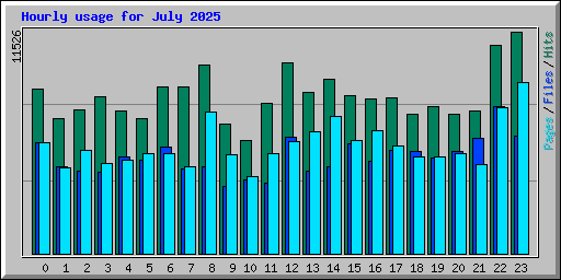 Hourly usage for July 2025