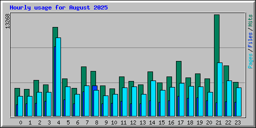 Hourly usage for August 2025