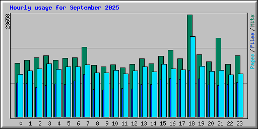 Hourly usage for September 2025