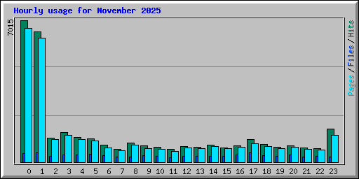 Hourly usage for November 2025