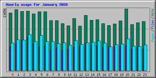 Hourly usage for January 2026