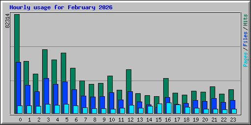 Hourly usage for February 2026